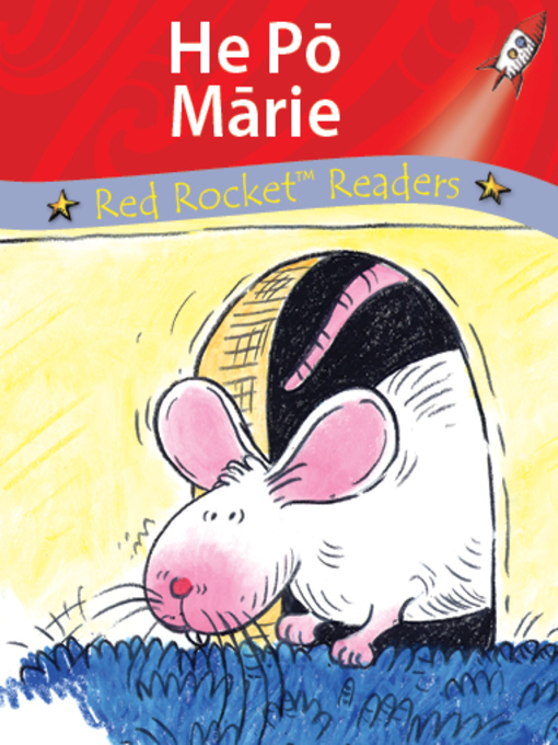 Title details for One Quiet Night te reo Maori - He Po Marie by Pam Holden - Available